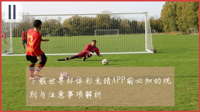 下载世界杯体彩竞猜APP前必知的规则与注意事项解析