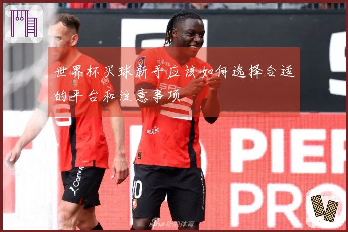 世界杯买球新手应该如何选择合适的平台和注意事项