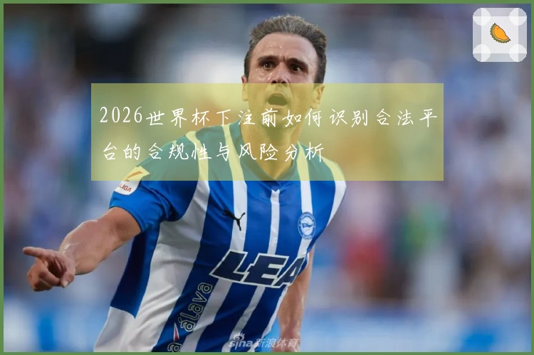 2026世界杯下注前如何识别合法平台的合规性与风险分析